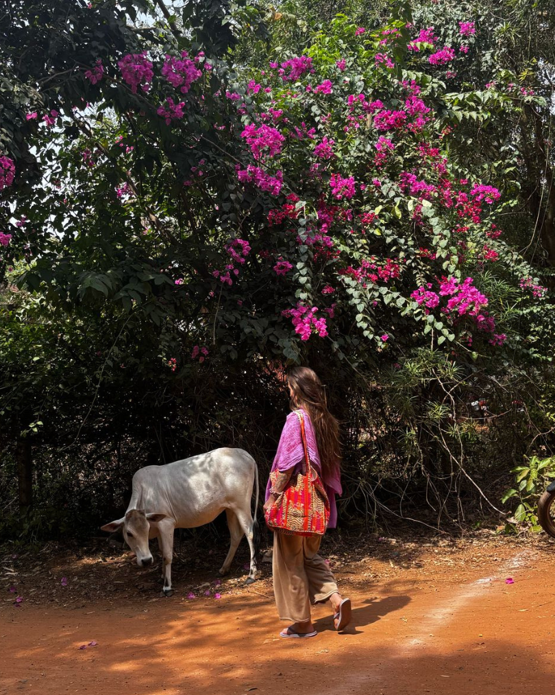 Auroville retraite yoga